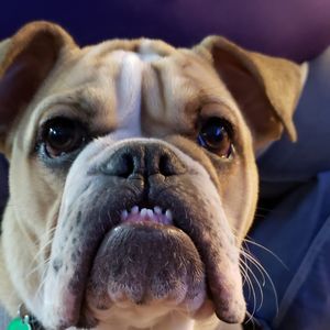 Meet your Posher, Shannon